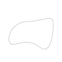 logo-everis